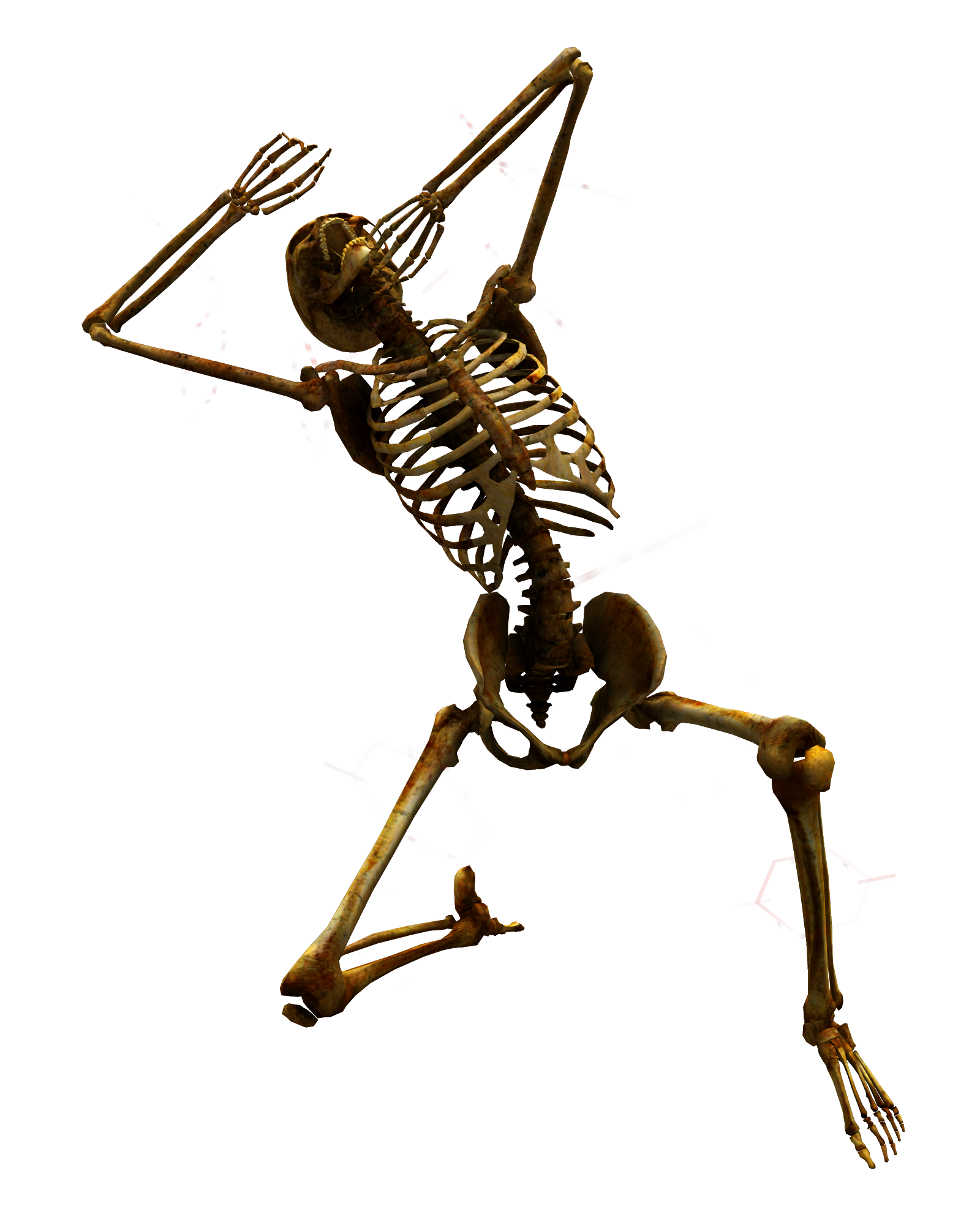 Skeleton png. Скелет. Скелет на прозрачном фоне. Скелет лежит. Скелет на белом фоне.