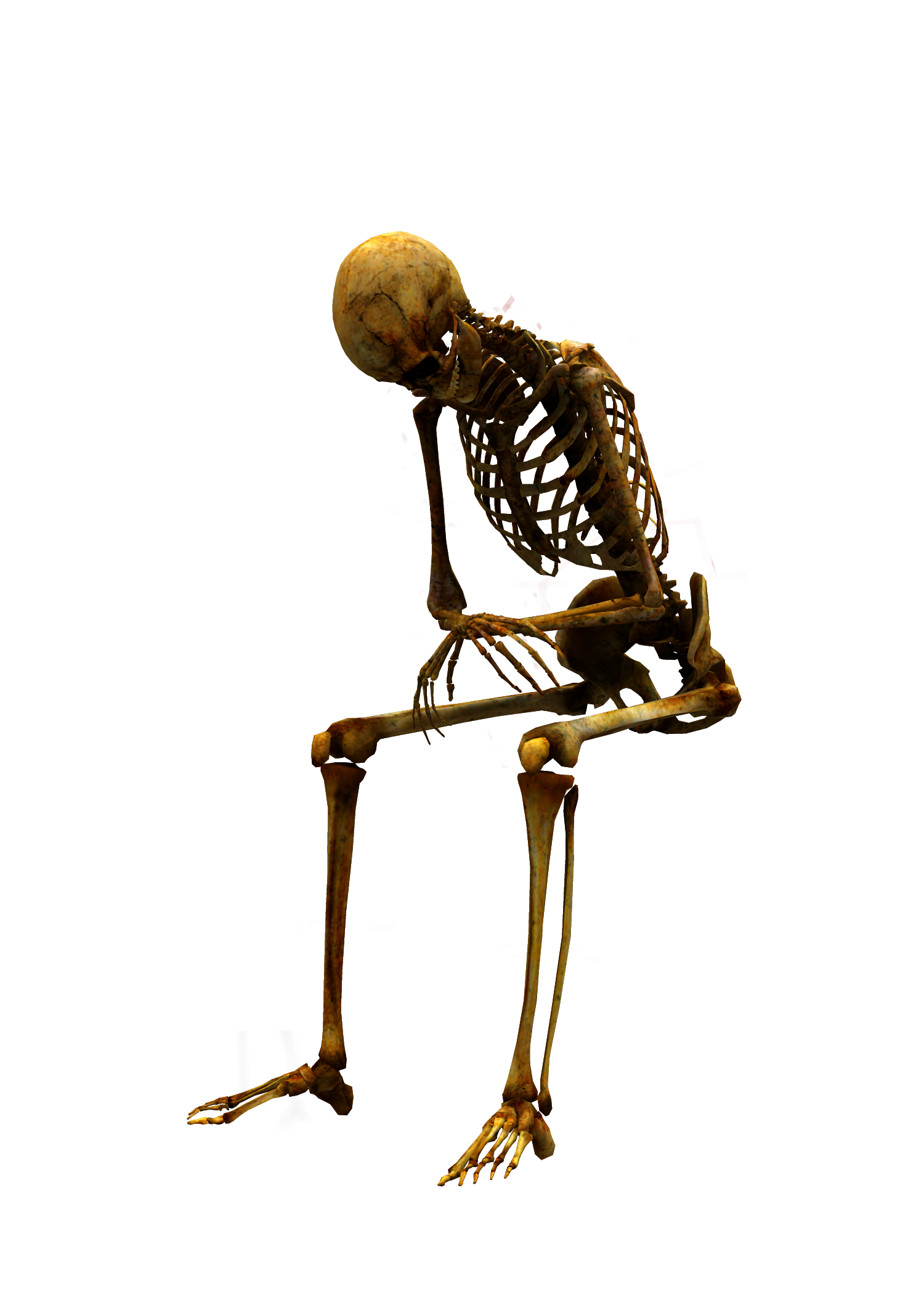 Skeleton png. Скелет сидит. Сидячий скелет. Скелет без фона. Скелет на прозрачном фоне.