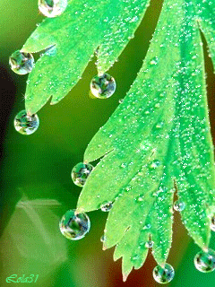 3465236-d2d1dbaa25d06813