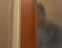 _yapfiles.ru