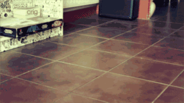 1369424601_poke-cat