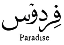 uqLTQ9ce9nY