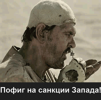 12443169_3431bb41