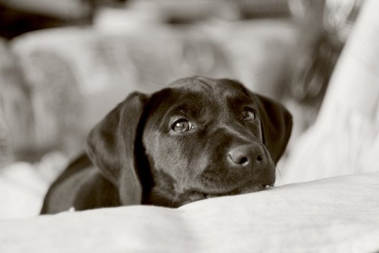 x_7b62fd99