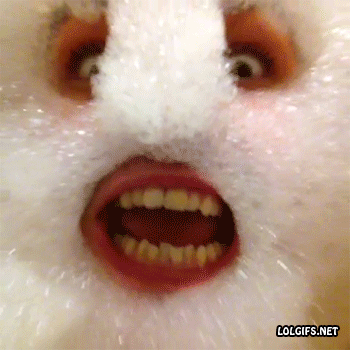 1402160338_03