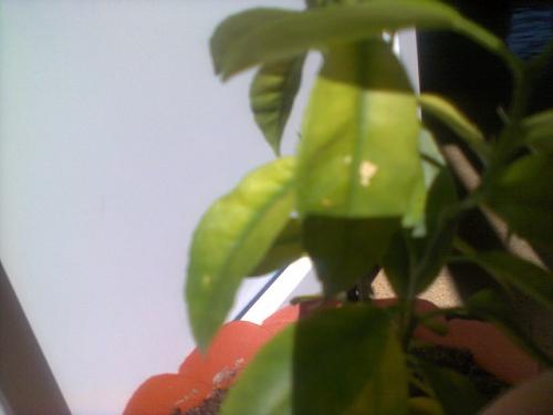 post-51948-0-56890700-1406033518_thumb