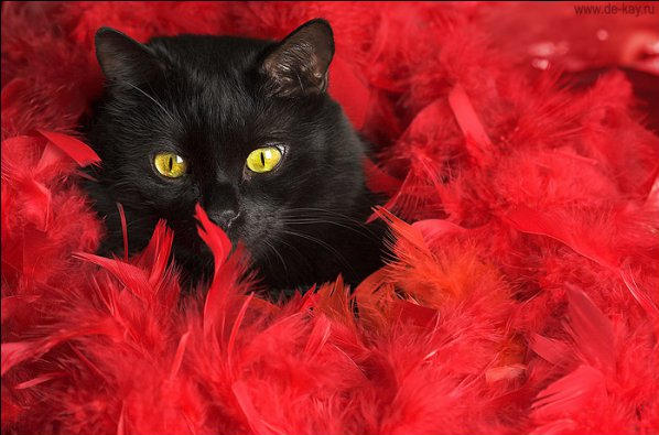 2014-09-17 03-21-08 Скриншот экрана