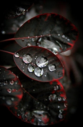 2014-09-17 03-27-17 Скриншот экрана