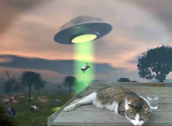 windowslivewriterlavacaraptadaporlosextraterrestres-13b15vaca31