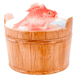 золотая рыбкака