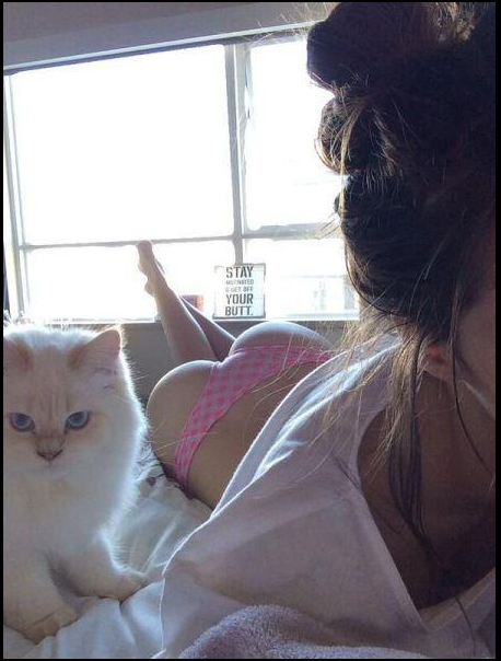 QIP Shot - Screen 1853