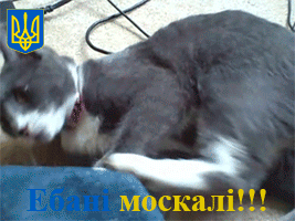 москали