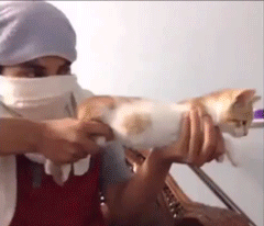 1387204395_1085562106