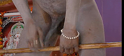 1412934516dd95f726295da4dd41b326f01c615bb7