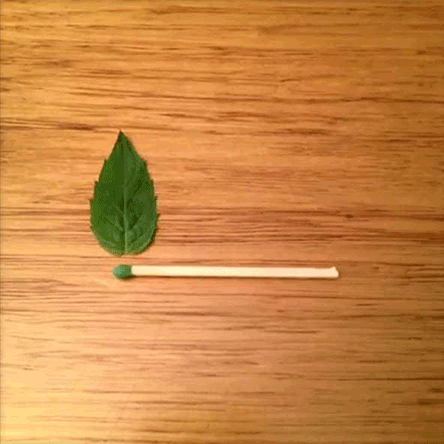 1388000838_gifs_07_001