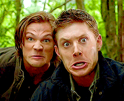 1375802437_lol54.ru_012