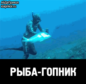e9ee4bde1a70a77dae72b1d86cca89d9d455e0bf7b987d81697723acd504795f_1