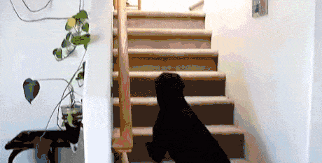 gifs_04