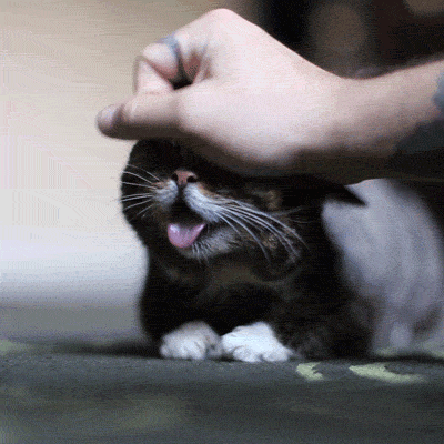 1412563749_gifs_01