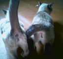 Photo0562