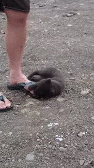 1413617199_1995059317