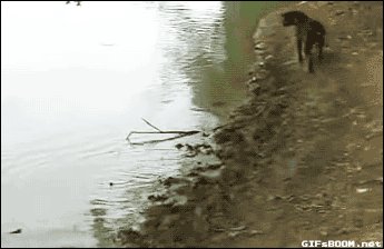 1413696813_2050370575