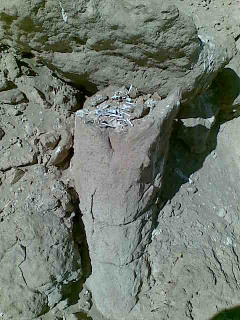 1 bubo (4) hadaba