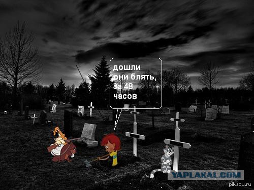 за 48 часов
