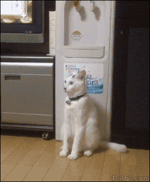 няха