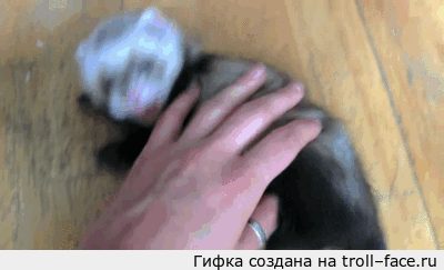 1416135108_1315430886