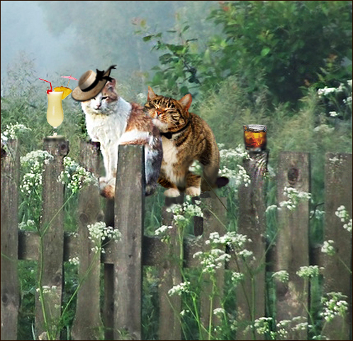 109544908_large_0_e6b1e_5af47863_XL