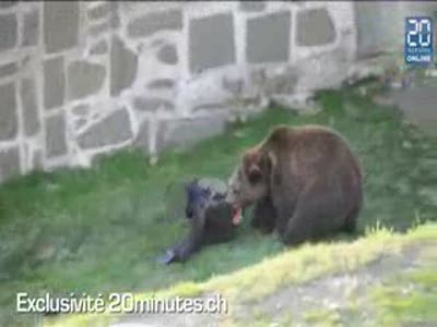 Медведь напал на человека