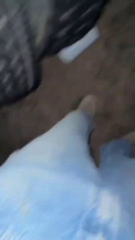 Будешь знать, как кусать мою лошадку!