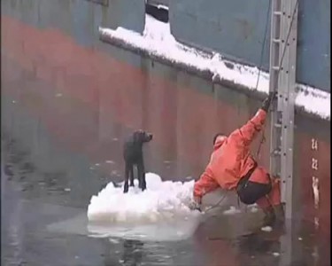 люди приходят на помощь
