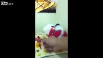 Трксливая собака