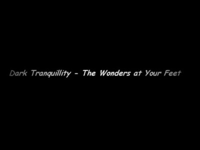 Dark Tranquillity -  The Wonders at Your Feet (with lyrics)