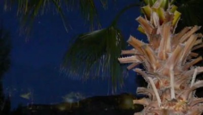 The Take Off With Margo