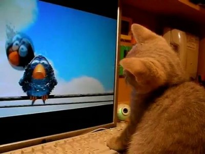 Кот смотрит мультик