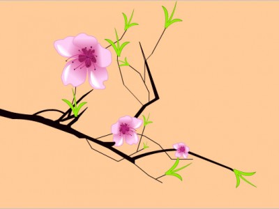 Цветущая ветка