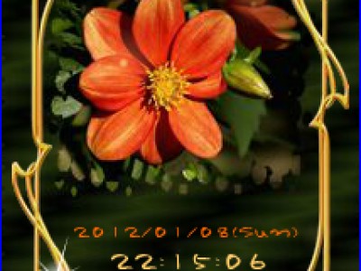 timer red flowers00014