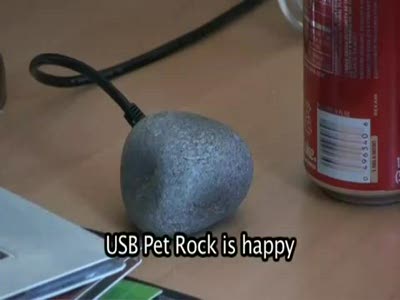 USB Pet Rock from ThinkGeek
