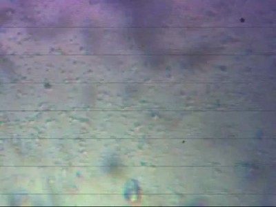 Тест микроскопа из веб-камеры РАЗ