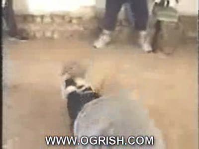 IRAQ-Execution turkish hostage