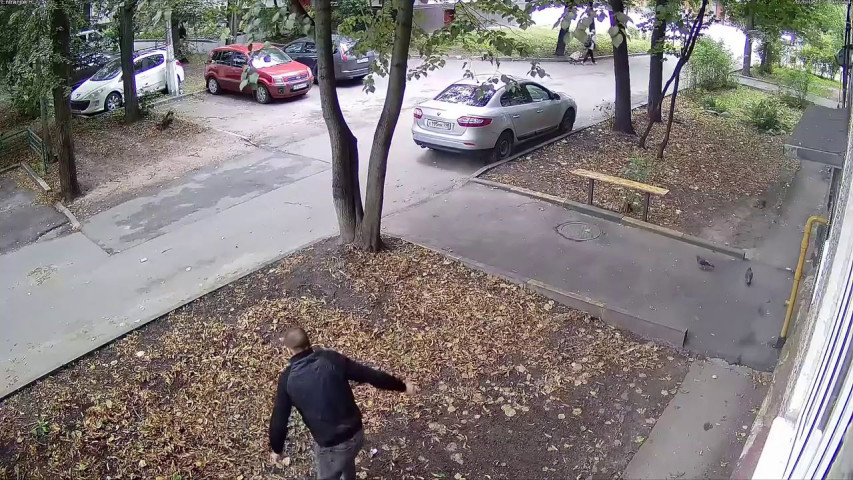 Фристайло
