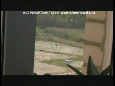 Расстрел стаффорда. 18+