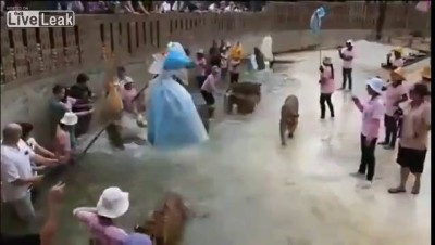 Туристы играют с тиграми в Таиланде