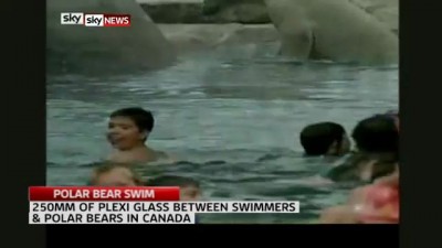 !!CHILDREN PADDLE WITH POLAR BEARS!!