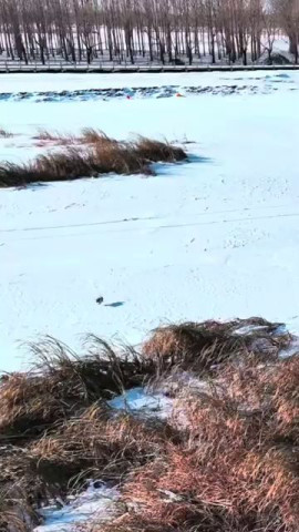 Нас не догоняяяяяяяяяяяят!