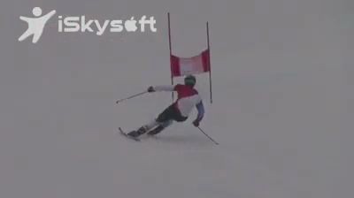 Лыжник и олень