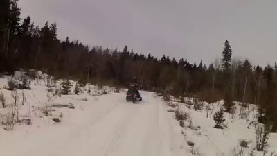 Snowmobiler moose attack in Jackman, Maine